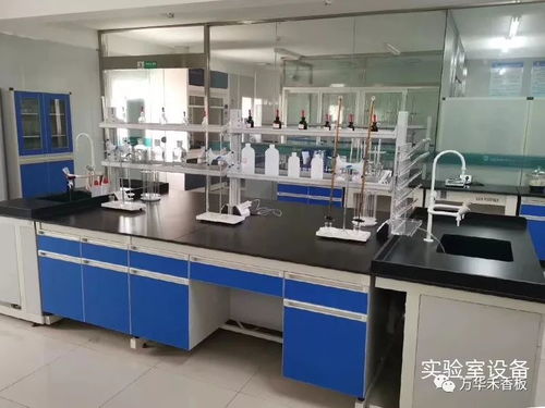 學習專業技能，提升服務水平，助力客戶2020再創新高